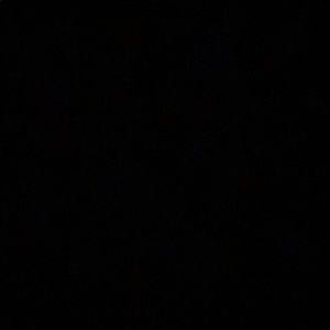 Meet your Posher, Laurel